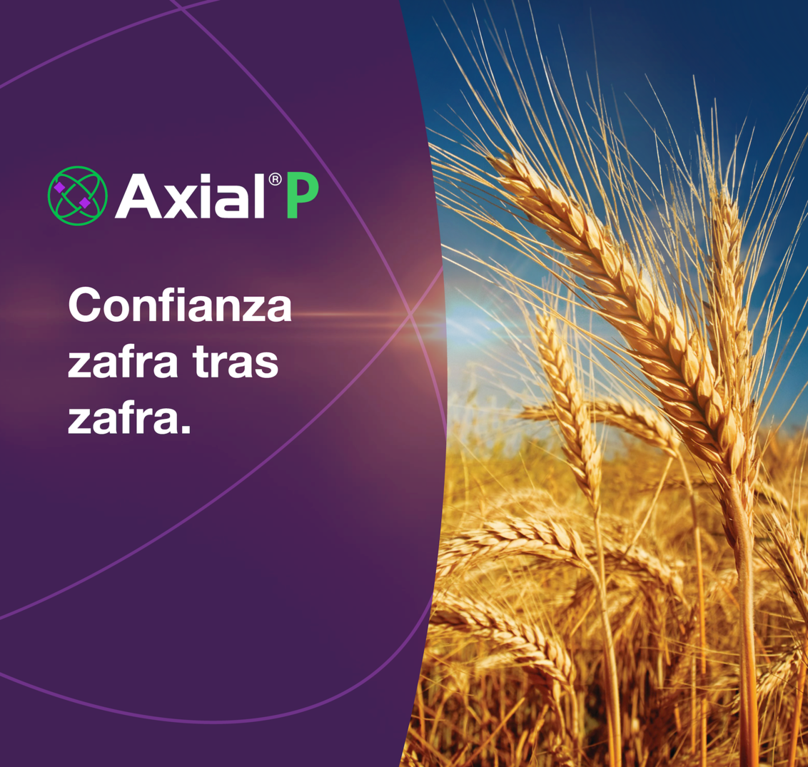 Syngenta Uruguay | Herbicida Selectivo Axial® P | Confianza zafra tras zafra