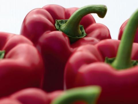 Margarita, Pimiento