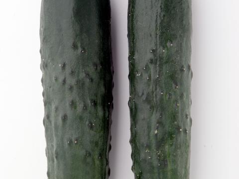 Mirage, Pepino