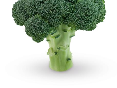 Beany, Brocoli