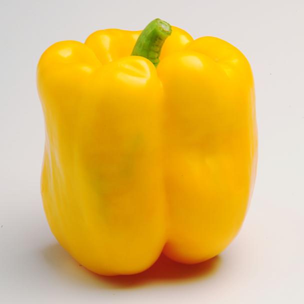 Kaamos, Pimiento