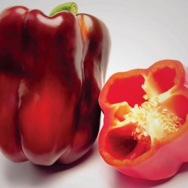 Almadrava, Pimiento