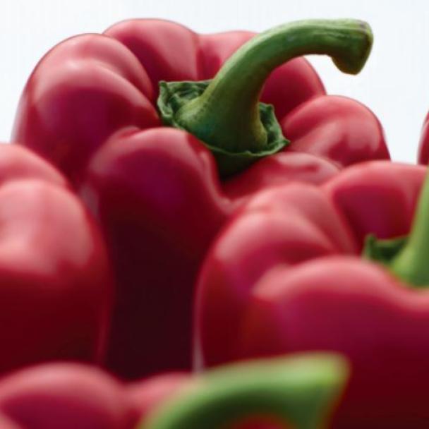 Margarita, Pimiento
