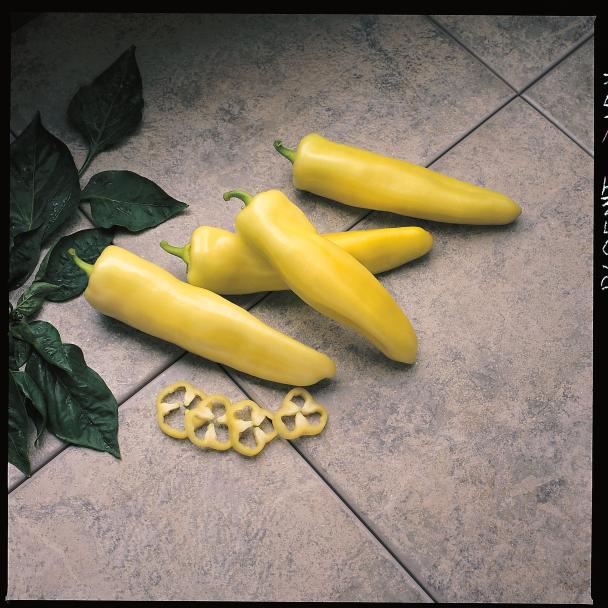 Pageant, Pimiento