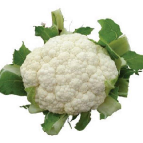 LD/smilla, Coliflor