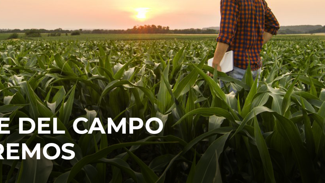 Syngenta | Expoagro | SER PARTE DEL CAMPO QUE QUEREMOS