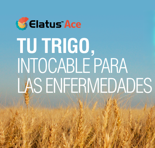 Syngenta