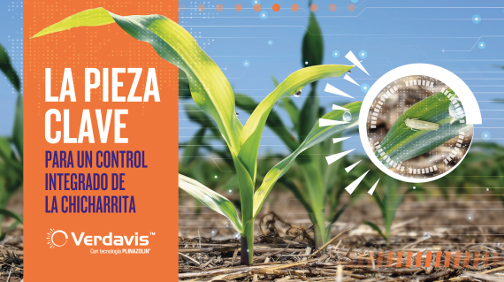 Syngenta