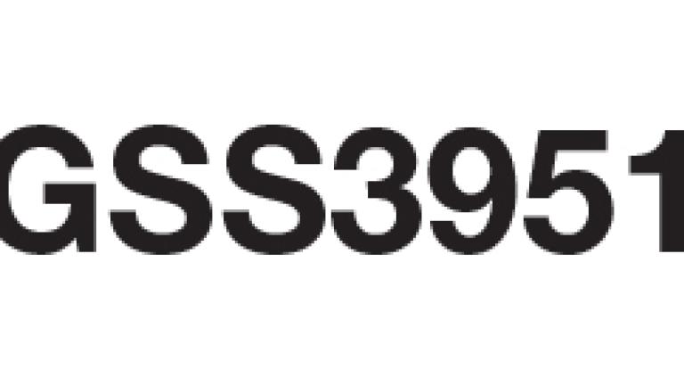 GSS3951, Maíz Choclo