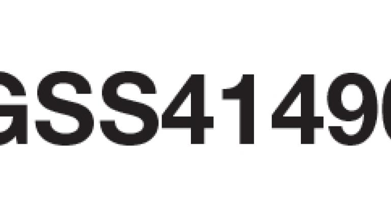 GSS41490, Maíz Choclo