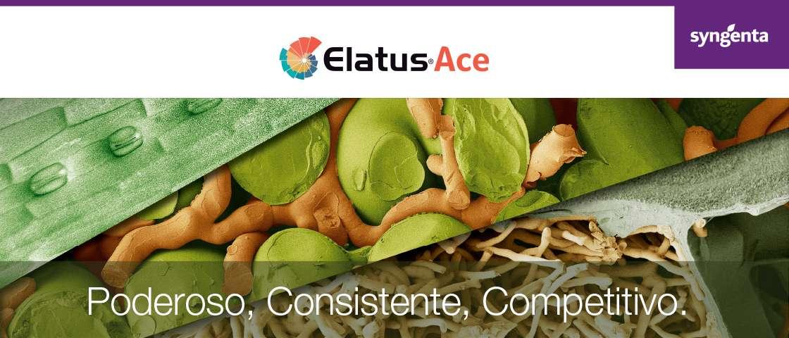 ELATUS® Ace 