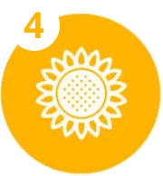 Syngenta