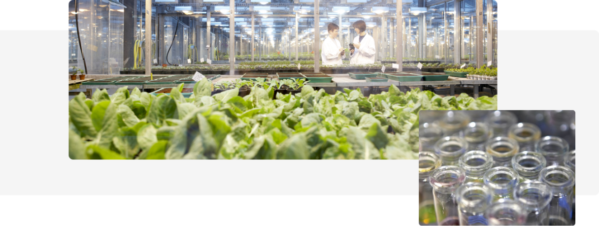 Syngenta